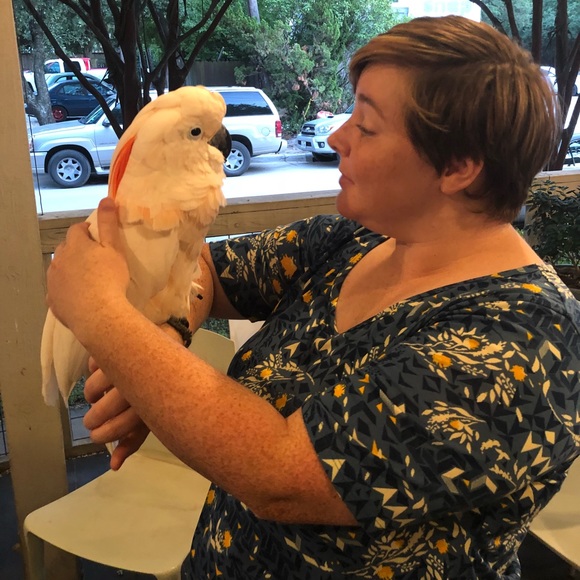 Meet your Posher, Amber - Picture 3 of 4